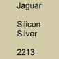 Preview: Jaguar, Silicon Silver, 2213.